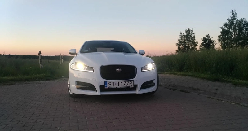 Jaguar XF cena 52000 przebieg: 118226, rok produkcji 2013 z Tychy małe 79